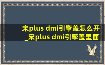 宋plus dmi引擎盖怎么开_宋plus dmi引擎盖里面的盖怎么打开